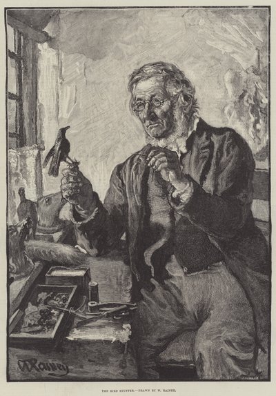 The Bird Stuffer by William Rainey